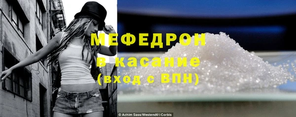 spice Богородицк