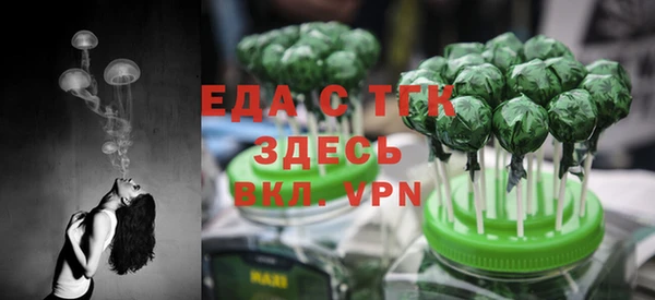 spice Богородицк