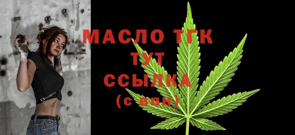 spice Богородицк