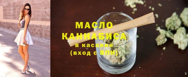 spice Богородицк