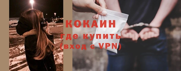 spice Богородицк