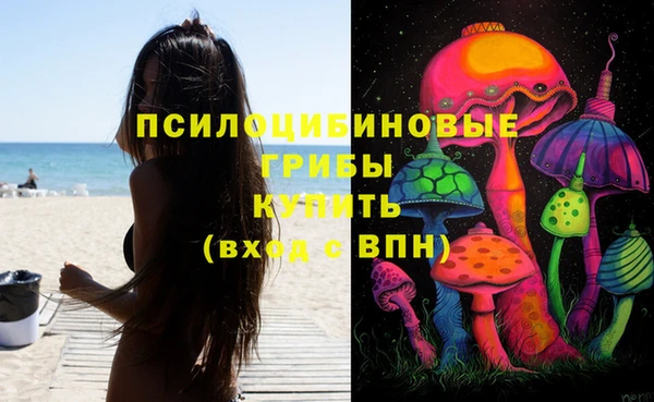 прущий лед Богородск