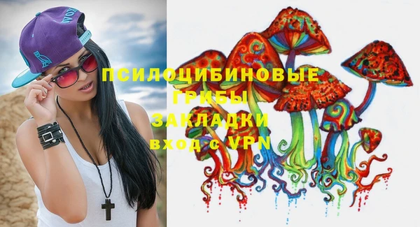 spice Богородицк