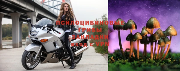 spice Богородицк