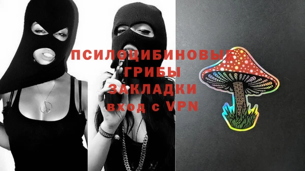 прущий лед Богородск