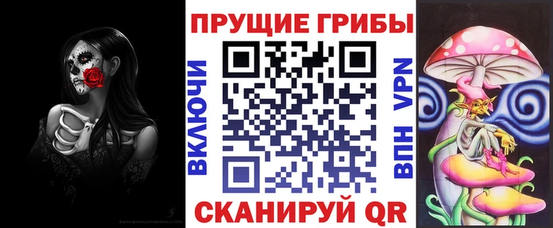 купить наркотик kraken сайт Псилоцибиновые грибы Psilocybine cubensis Краснозаводск